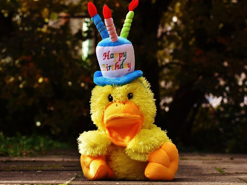 Puddleduck Post